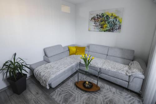 . Apartman ISKRA