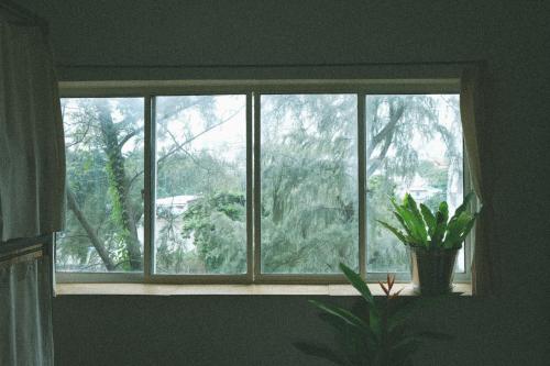 Homestay - Male Shared Dorm - View Song tren ban đao Thanh Đa - Binh Thanh - Sai Gon