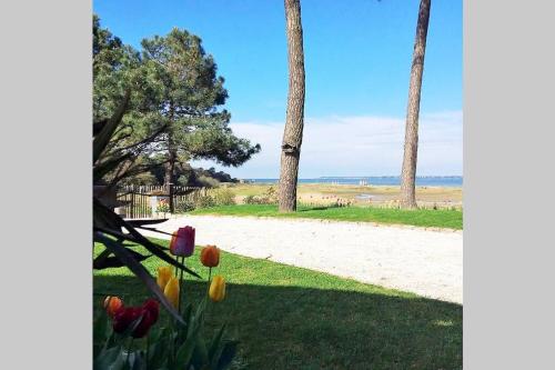 Maison vue mer, piscine et accès direct à la plage gîte à louer Saint-Nazaire
