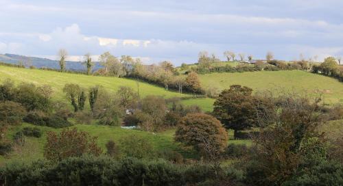 Laneside Haven - 5 Minutes from Castleblayney - Accessible, Gated with Patio, Garden and Gym!