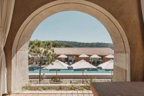 Shape Club Suite with Pool View