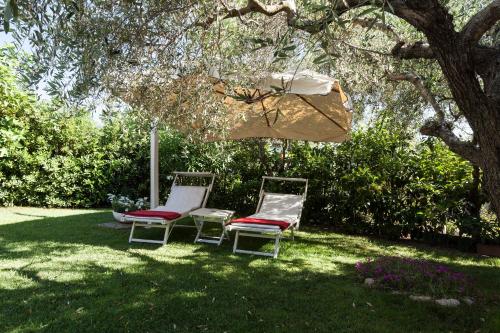 Villa Tramonto luxury apartment with private swimming pool