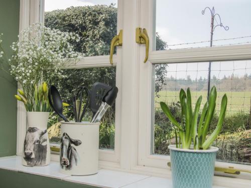 1 Royal Oak Cottages - image 7