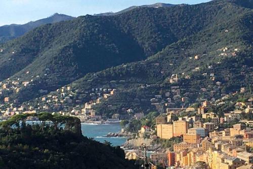 Acqua Marina, Camogli