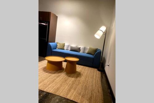 3E-*New* Apartment -5 min from Downtown, sleeps 4 in Pittsburgh, USA