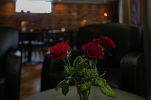 Hotel Norðurland - image 5