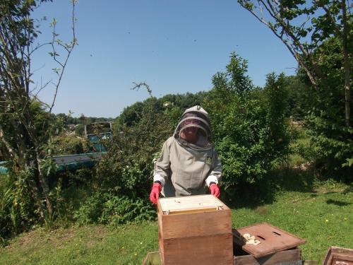 Kilna BnB - image 13