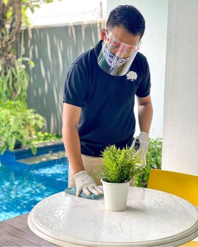 Foto - White Tree Residence