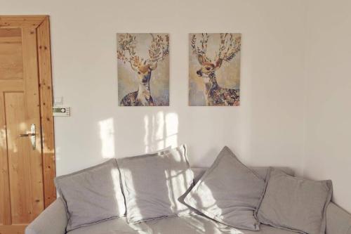 Marcówka M4 - duży apartament w historycznej willi z ogrodem, Szklarska Poręba (Foto 2)