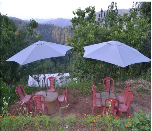 HimView Camp Mukteshwar photo