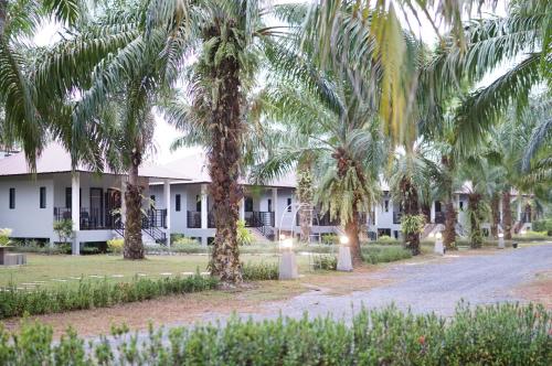 Palm Scenery Resort - 숙소 외관