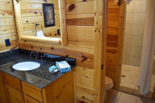 White Oak Lodge And Resort Cabin #212 - image 5
