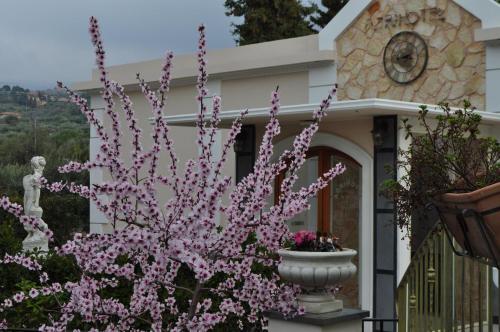 Croce Vallone Agrihotel - image 12
