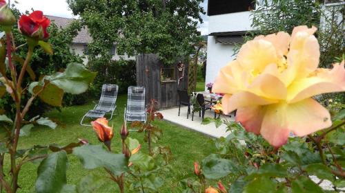 Ferienhaus Isolde - image 13