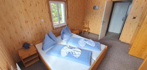 Pension Svoboda in Pec pod Snezkou