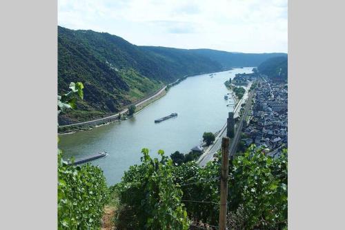 Ferienwohnung Rheinblick Bacharach am Rhein