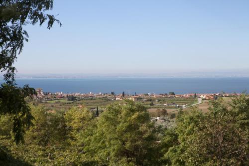 Agriturismo il Grappolo