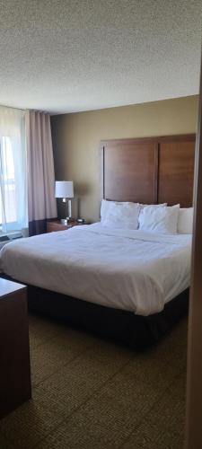 Comfort Inn Lexington - image 12