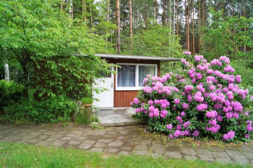 Ferienhaussiedlung am Chossewitzer See