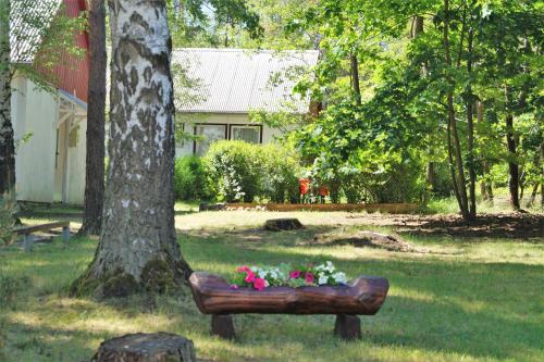 Ferienhaussiedlung am Chossewitzer See