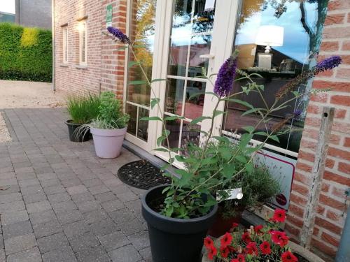 Luxe Wellness B&B Tim Torfs *****