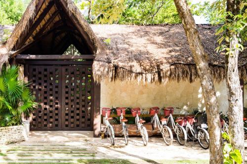 Alux Jungle Flat - Cozy Jungle - Tulum