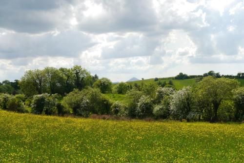 สภาพแวดล้อมโดยรอบ, The Garden Gates Guest Accommodation in คาสเซิลแบร์