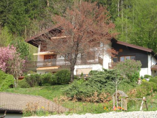 Haus Margrit Ferienwohnung in Sonnenlage - Apartment - Golling an der Salzach