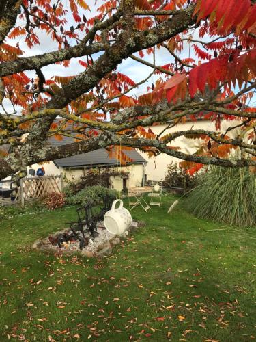 Cottage Les Glycines