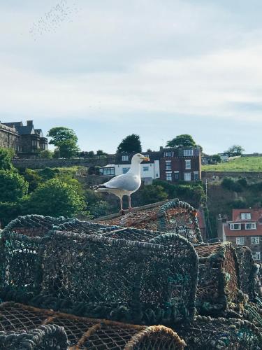Mooredge Guest House, Whitby (zdjęcie 9)