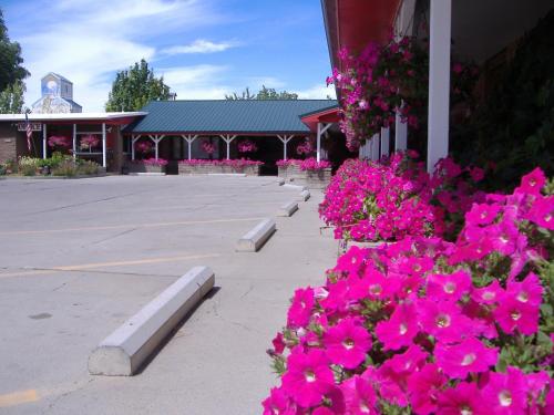 Greybull Motel