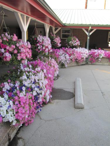 Greybull Motel