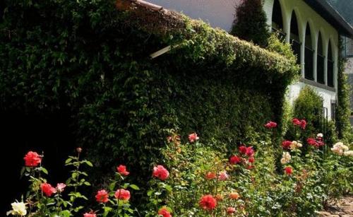 Spanish Villa Inn – St. Helena, CA