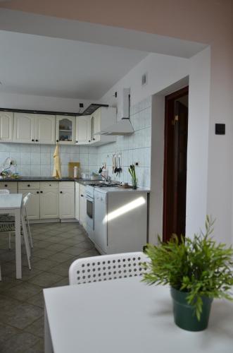 Apartament Tolek, Varšava (fotografie 7)