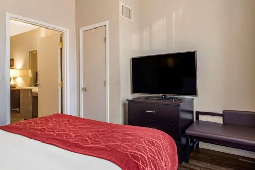 Comfort Inn & Suites near Six Flags