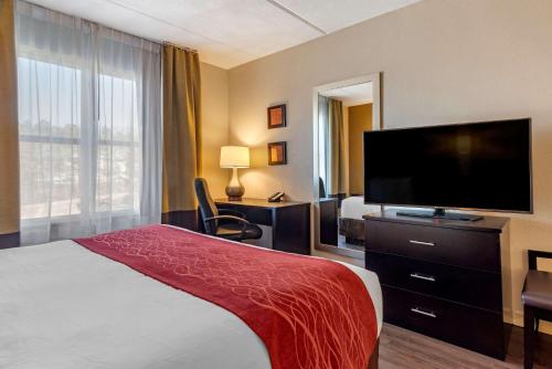Comfort Inn & Suites near Six Flags - image 6