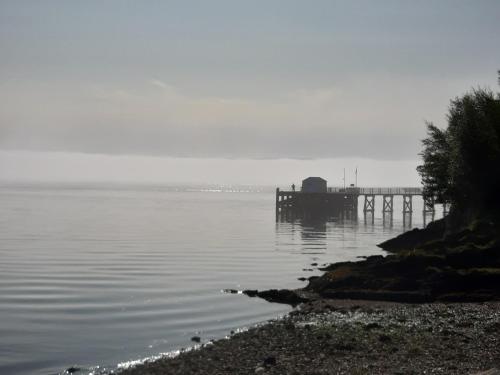 สภาพแวดล้อมโดยรอบ, Off Grid 1-Bed Cabin Pets Ok 20 mins to Dunoon in อีทกิลบริด