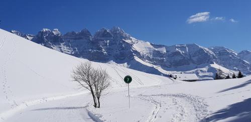 Appartement à la montagne