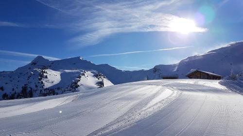 Appartement à la montagne