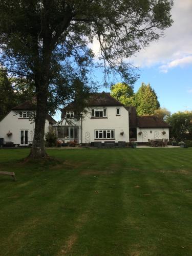 Woodacre B & B - image 12