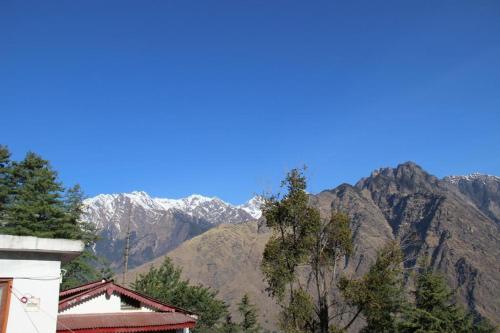 Resort With Mesmerizing Mountain Views & Pine Trees