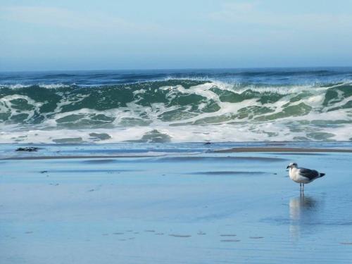 Breaking Waves! On the Bluff! AMAZING VIEWS!! BBQ! Fast WiFi! Walk to Beach!!! photo 4