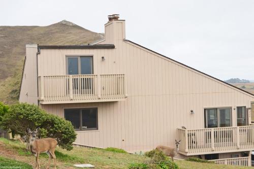 Sea Miracle! Hot Tub!! Game Room! VIEWS!! Expansive & Spacious!! Fast WiFi!!! - image 2
