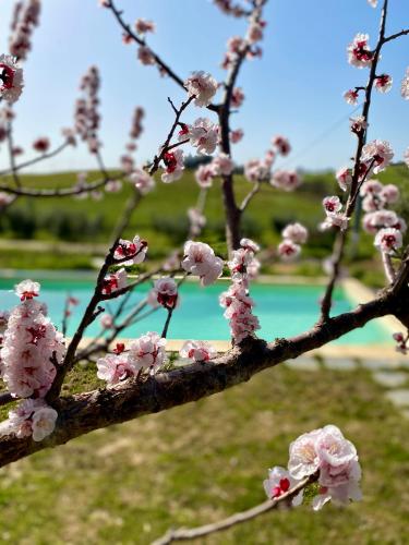 B&B Monte di Bù