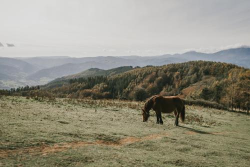 運動及活動, HOTEL ORDIZIA in 畢爾巴鄂