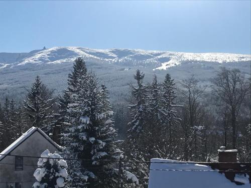 Mega widok 3