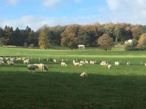 Penbedw Estate -Rural retreats,tennis