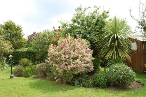 Mews with garden views