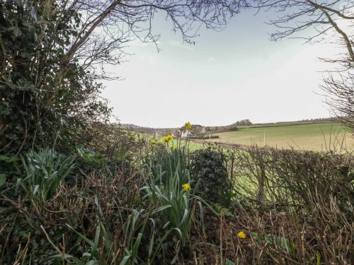 The Mouse House in Beaminster