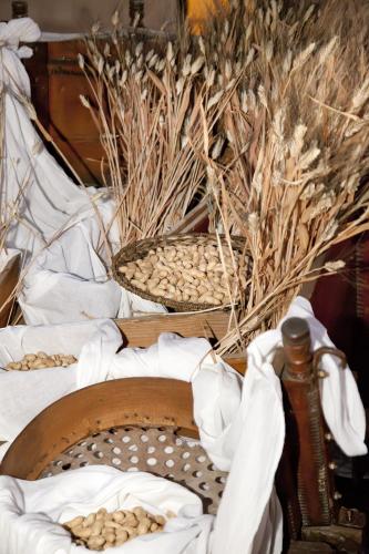 Agriturismo Baglio Fontana - image 11